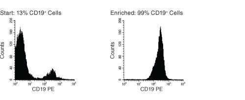 FACS Histogram Results with EasySep™ HLA B Cell Enrichment Kit