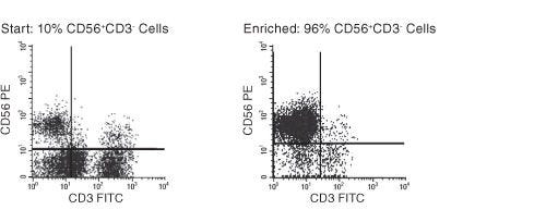 FACS Profile Results With EasySep™ Human NK Cell Enrichment Kit