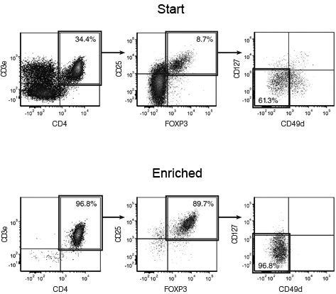 Typical EasySep™ Human CD4+CD127lowCD49d- Regulatory T Cell Enrichment Profile