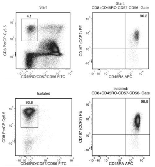 Typical EasySep™ Human Naïve CD8+ T Cell Isolation Profile