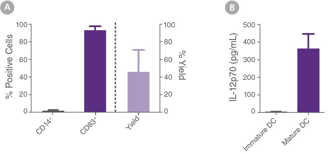 Mature DCs Generated with ImmunoCult™-ACF Dendritic Cell Medium with Supplements Show Desired Phenotype