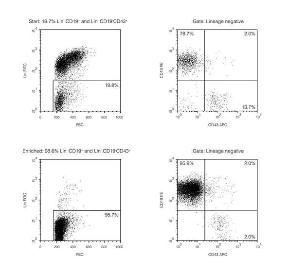 FACS Profile Results With EasySep™ Human Pan-B Cell Enrichment Kit