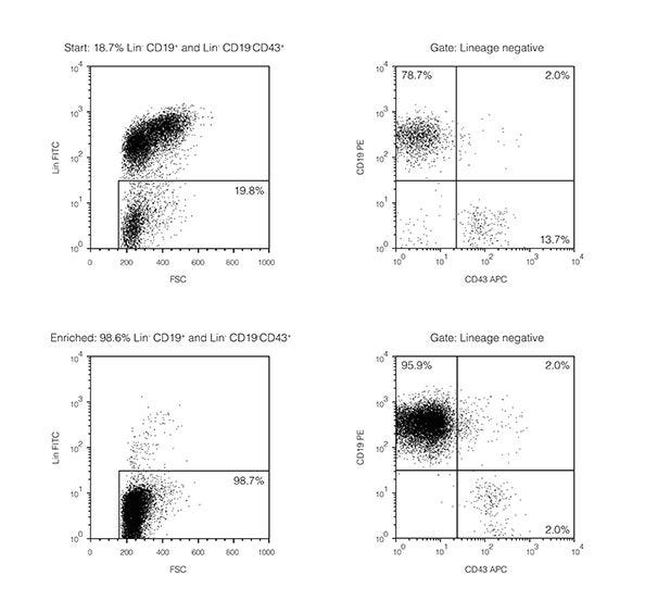 FACS Profile Results With EasySep™ Human Pan-B Cell Enrichment Kit