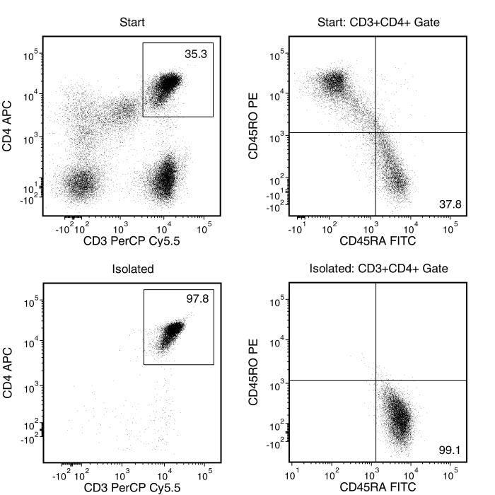 Typical EasySep™ Human Naïve CD4+ T Cell Isolation Profile