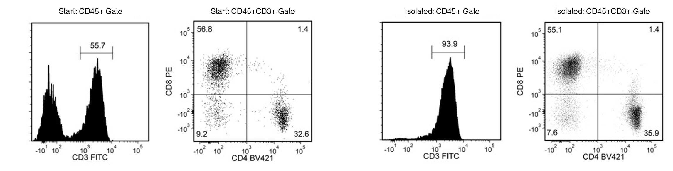 The content of rhesus macaque CD3+ T cells before and after isolation correspond to 55.7% and 93.9%, respectively.