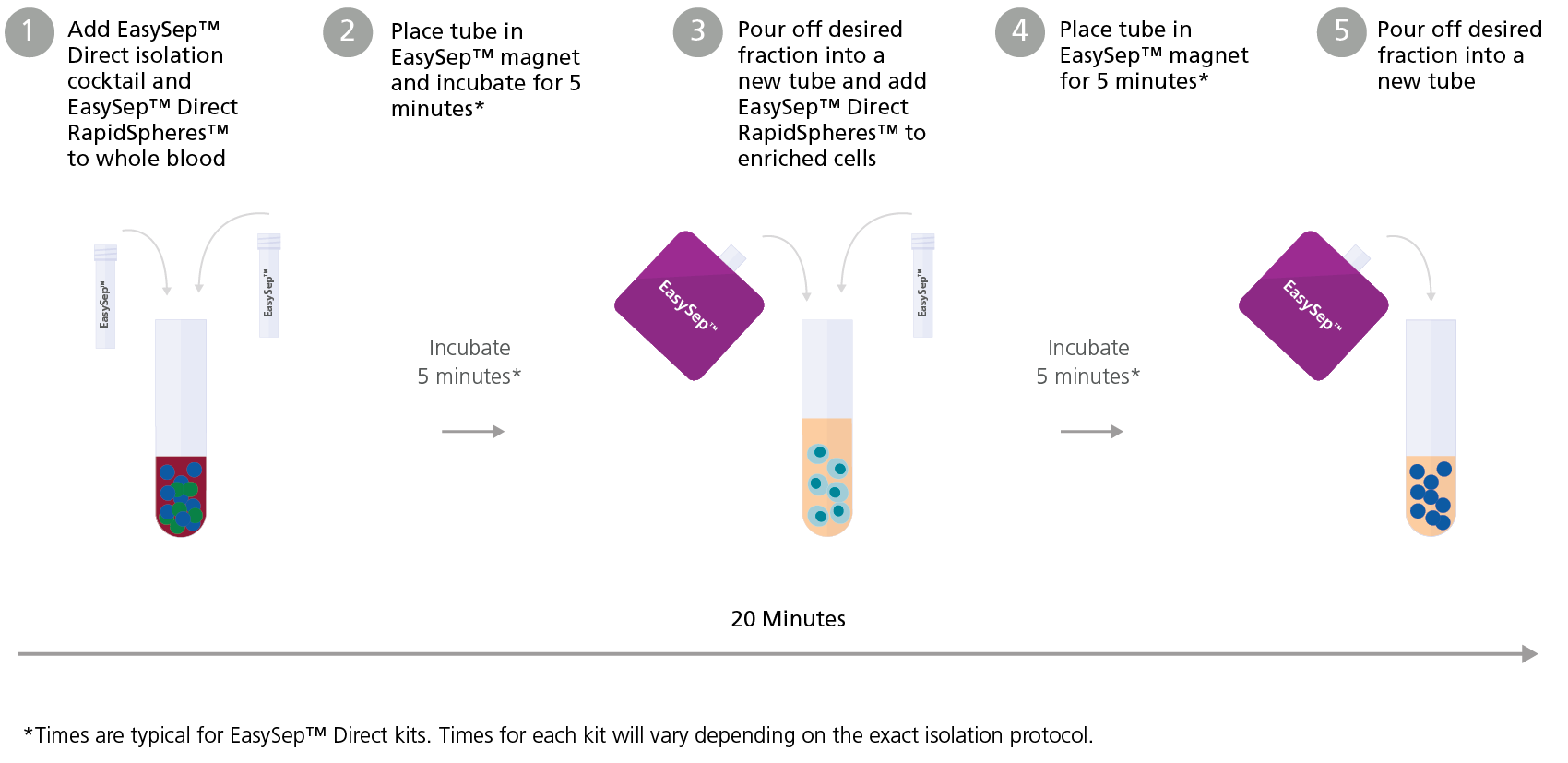 Typical EasySep™ Direct Protocol