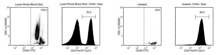 Isolated T cells from whole blood obtained using EasySep™ Direct human T cell isolation kit