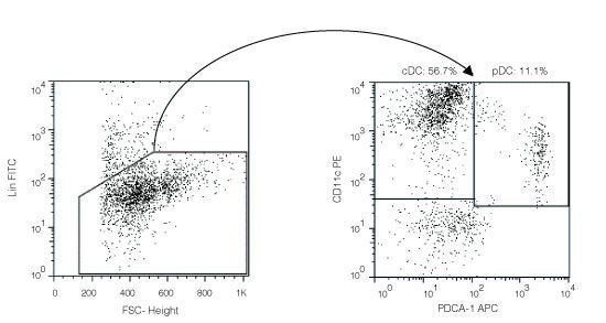 Enriched Pan-Dendritic Cells obtained using EasySep™ Mouse pan-DC Enrichment Kit