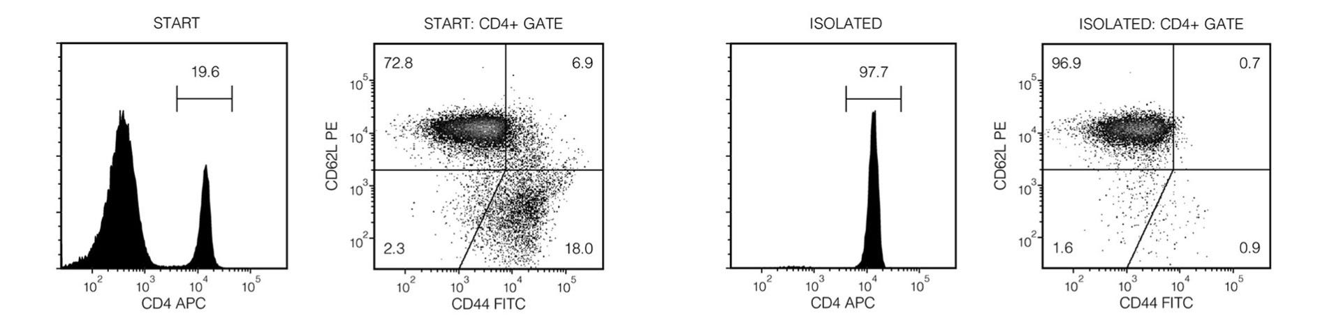 Typical EasySep™ Mouse Naïve CD4+ T Cell Isolation Profile