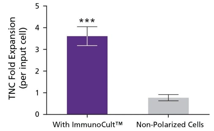 ImmunoCult™ Mouse Treg Differentiation Supplement Expands Viable CD4+ Cells Under Treg Polarizing Conditions