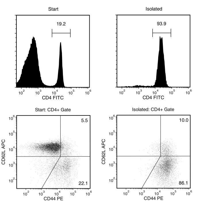 Typical EasySep™ Mouse Memory CD4+ T Cell Isolation Profile