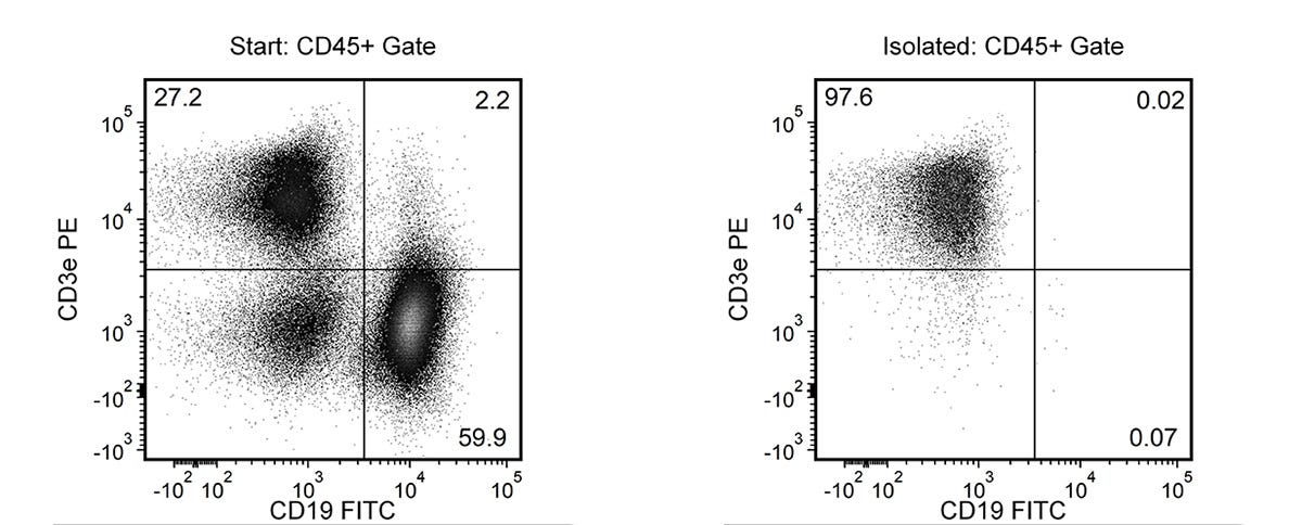 Typical EasySep™ Mouse T Cell Isolation Profile