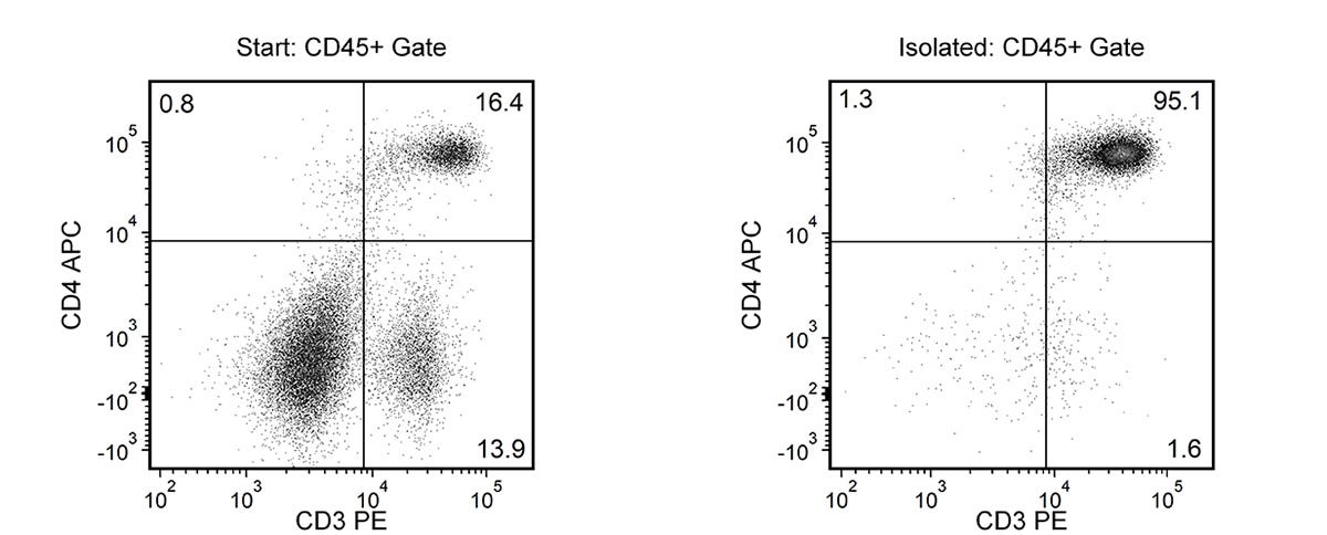 Typical EasySep™ Mouse CD4+ T Cell Isolation Profile