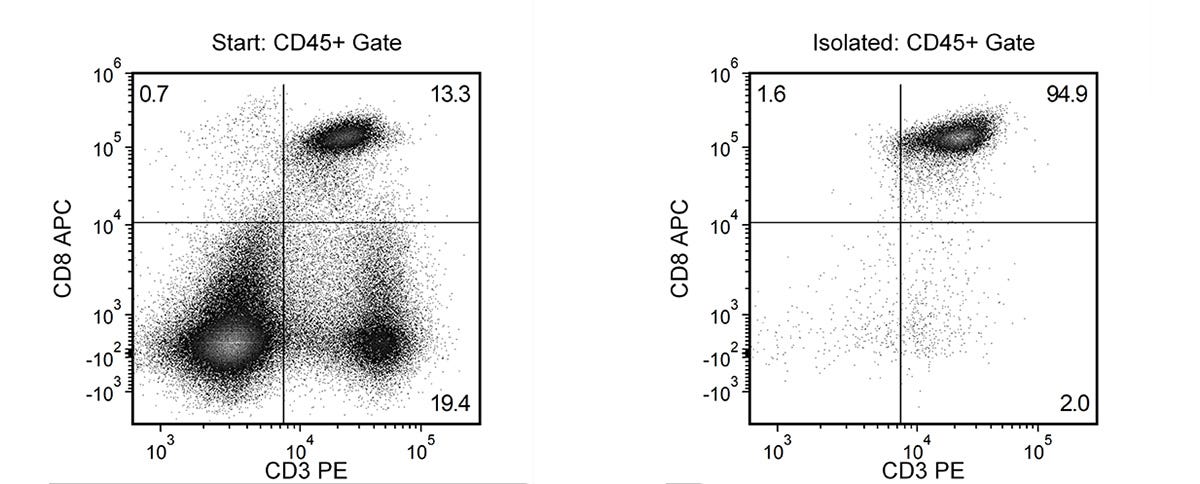 Typical EasySep™ Mouse CD8+ T Cell Isolation Profile