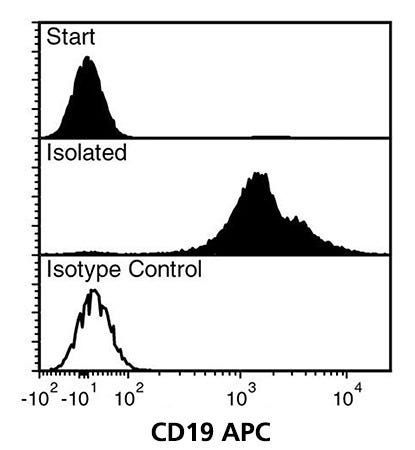 FACS Data for Anti-Human CD19 Antibody, Clone HIB19, APC-Conjugated