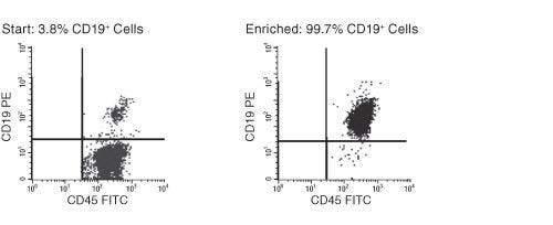 FACS Results with EasySep™ HLA B Cell Enrichment Kit