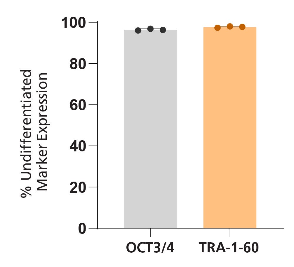 Bar graph quantification of OCT3/4 and TRA-1-60 gene expression