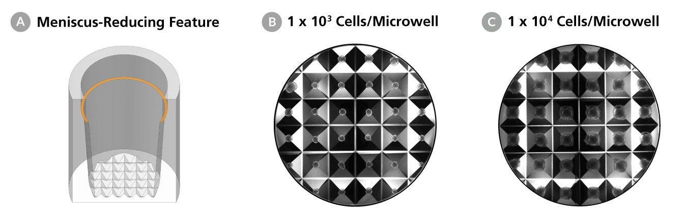 AggreWell™HT features a meniscus-reducing feature and allows for the formation of aggregates from various initial seeding densities.