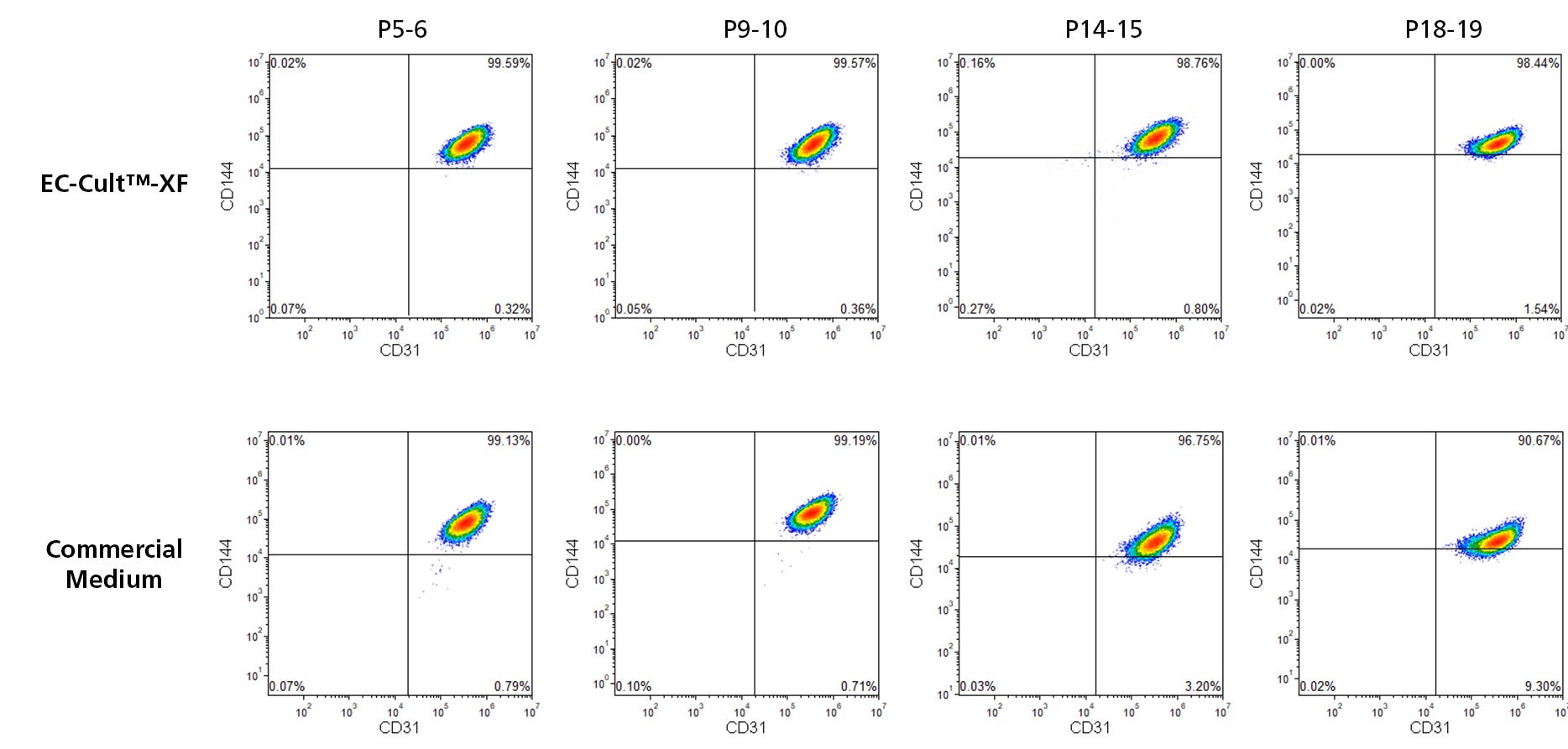 Flow cytometry analysis shows that HUVECs cultured in EC-Cult™-XF medium retain the endothelial markers CD31 and CD144 through 19 passages better than those cultured in a commercial medium.