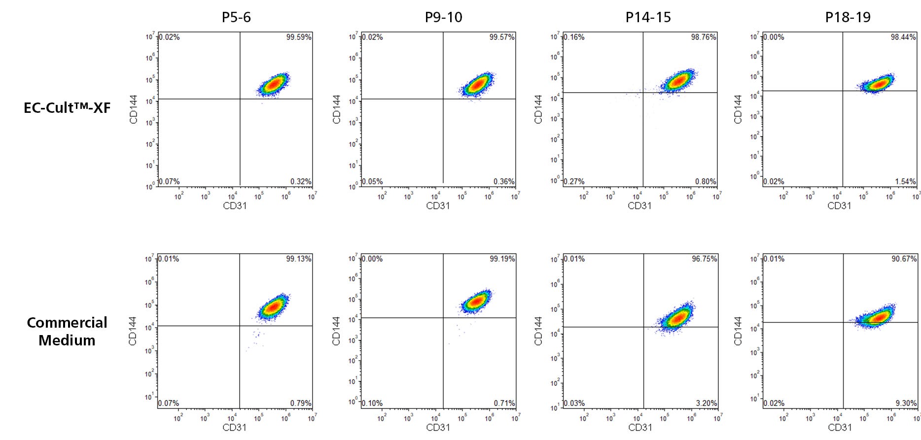 Flow cytometry analysis shows that HUVECs cultured in EC-Cult™-XF medium retain the endothelial markers CD31 and CD144 through 19 passages better than those cultured in a commercial medium. 
