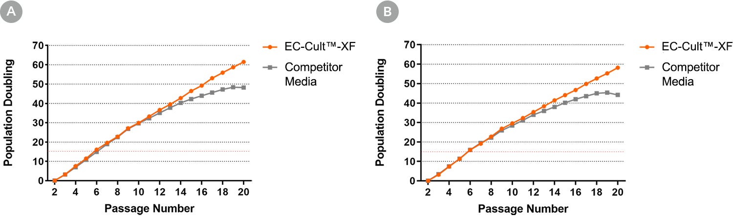 HUVECs can expand for higher passage numbers when cultured in EC-Cult™-XF medium when compared to alternative commercial media. 