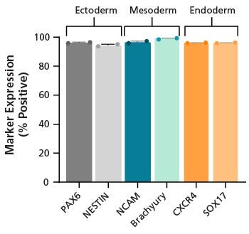 Figure 4. SCTi006-A Human Pluripotent Stem Cells Demonstrate a High Trilineage Differentiation Capacity