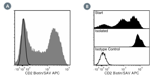 Data for Anti-Human CD2 Antibody, Clone RPA-2.10, Biotin