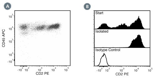 Data for Anti-Human CD2 Antibody, Clone RPA-2.10, PE