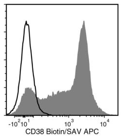 Data for Biotin-Conjugated