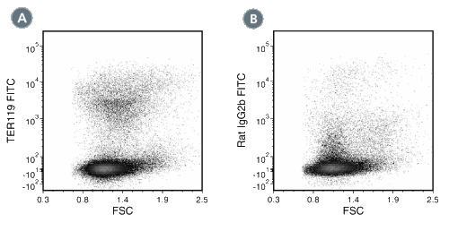 Data for Unconjugated