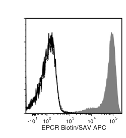 Data for Biotin-Conjugated