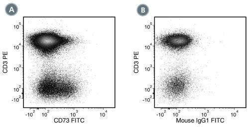 Data for FITC-Conjugated