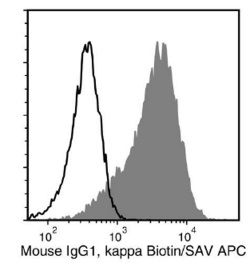 Data for Biotin-Conjugated