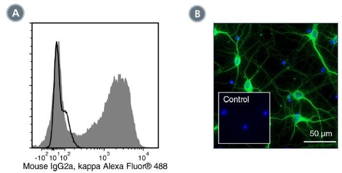 Data for Alexa Fluor® 488-Conjugated