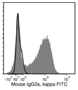 Data for FITC-Conjugated