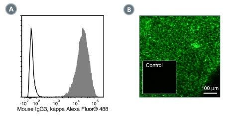 Data for Alexa Fluor® 488-Conjugated