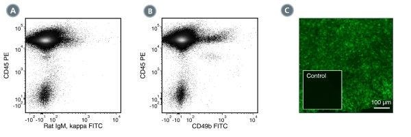 Data for unconjugated