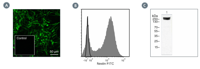 Data for Unconjugated