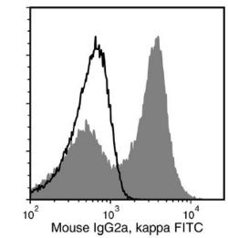 Data for FITC-Conjugated