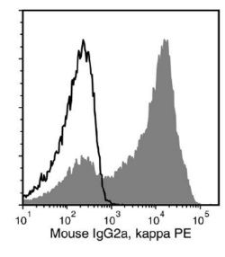 Data for PE-Conjugated