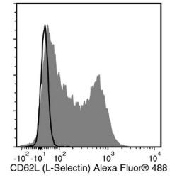 Data for Alexa Fluor® 488-Conjugated