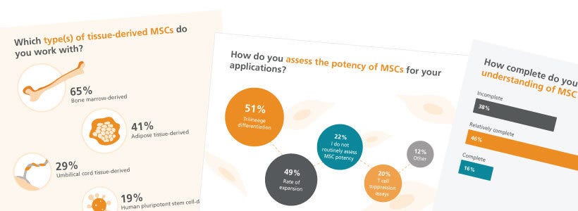 Mesenchymal stem cell survey results infographic