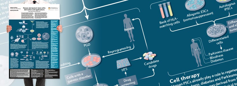 A wallchart outlining the derivation and applications of human pluripotent stem cells (hPSCs).