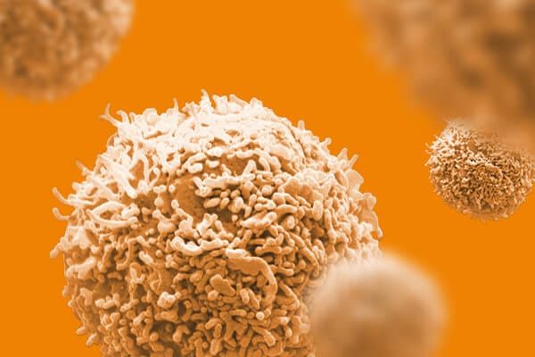 Choose from a range of ethically sourced human primary cell products from peripheral blood, cord blood, and bone marrow.
