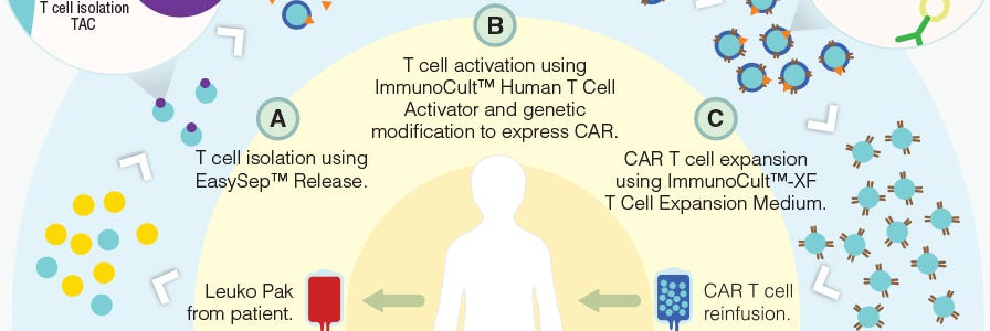 T cell separation, activation and expansion reagents