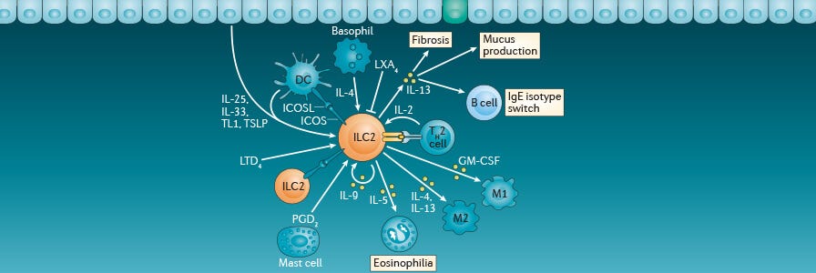 Request an Innate Lymphoid Cell (ILC) Wallchart for Your Immunology Research