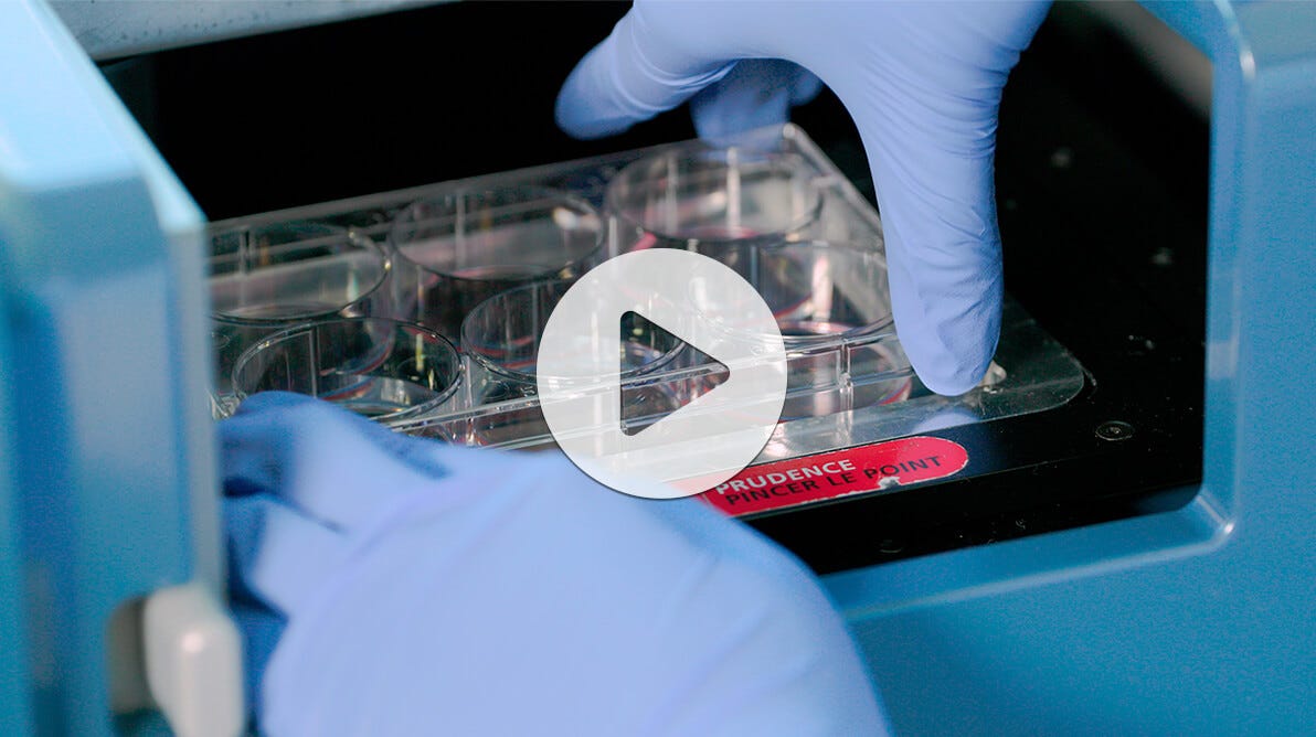 Watch this video for step-by-step guidelines for the use of STEMvision™ to standardize your colony counts.