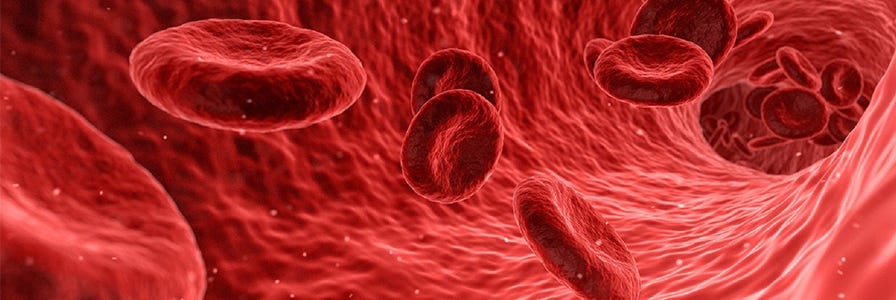 Image showing red blood cells