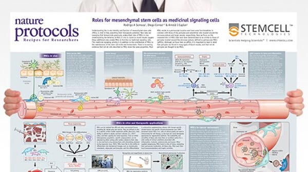 Role for MSCs as Medicinal Signaling Cells