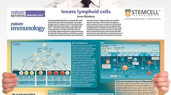 innate lymphoid cells